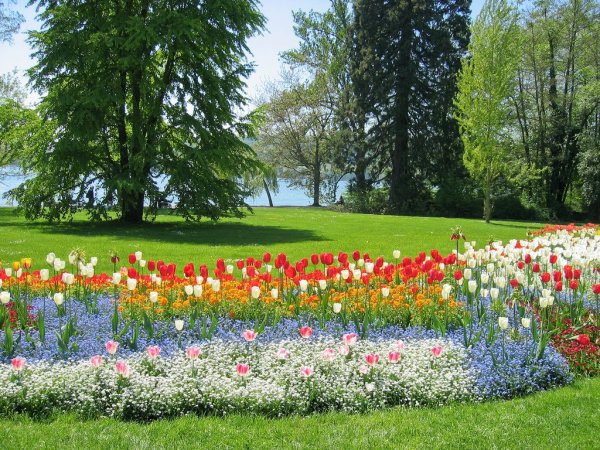 Парк цветов май Майнао в Германии