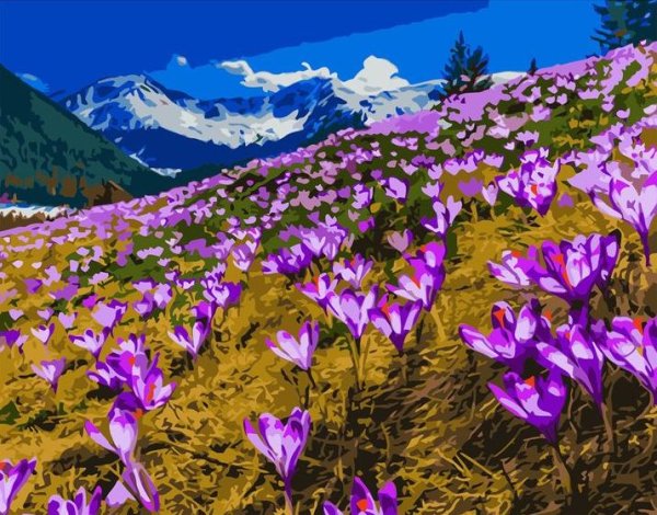 Долина крокусов Домбай