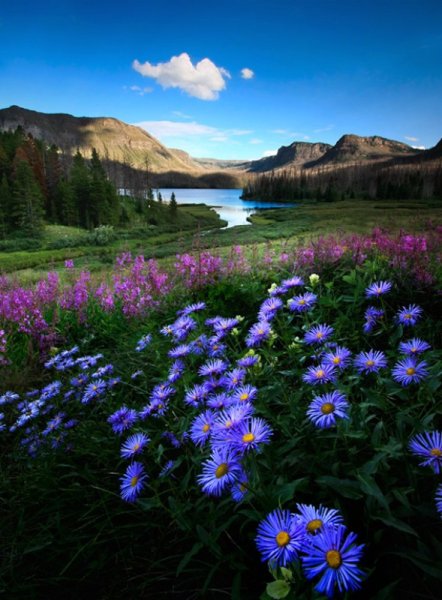 Красивые летние пейзажи