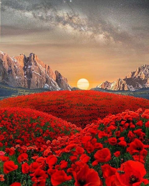 Красота природы