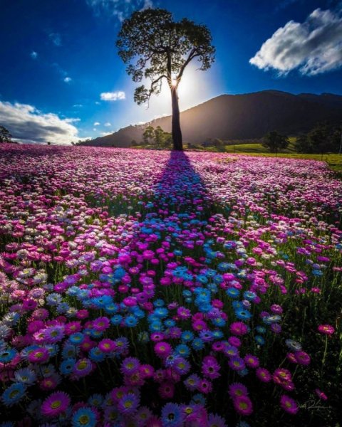 Красивые Луга