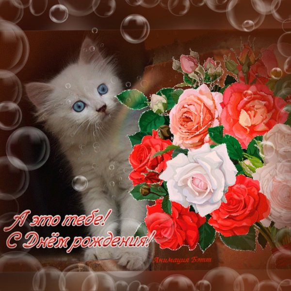 С днем рождения