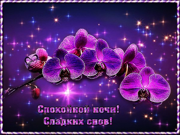 Спокойной ночи