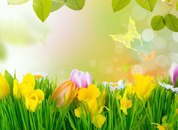 Весенний фон