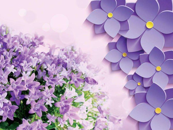 Розовые и сиреневые цветы