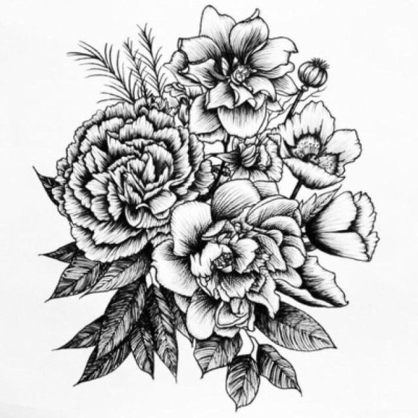 Пионы дудлинг