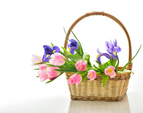 Весенние цветы в корзине