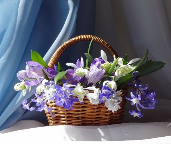 Весенние цветы в корзинке