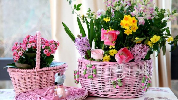 Цветы в корзине