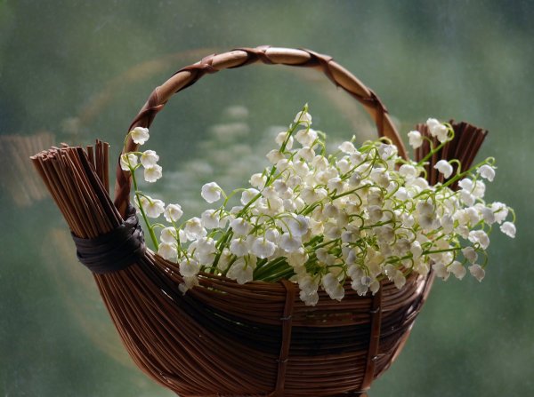 Букетик подснежников и ландышей