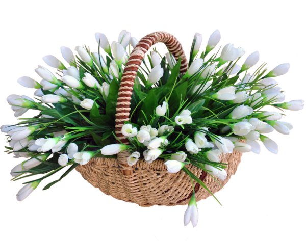 Подснежники в корзине