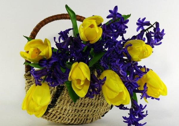 Корзина с желтыми тюльпанами