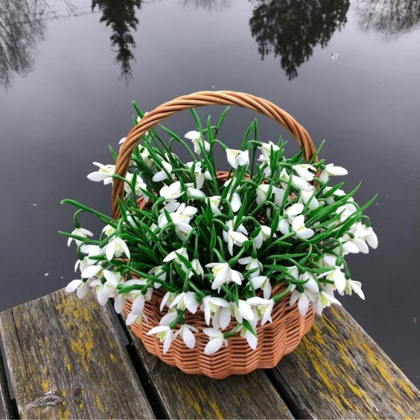 Букет подснежников