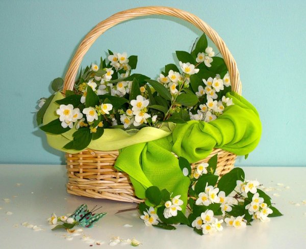 Жасмин букет в корзинке