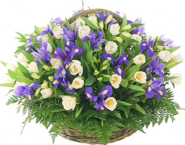 Букет с ирисами и папоротником
