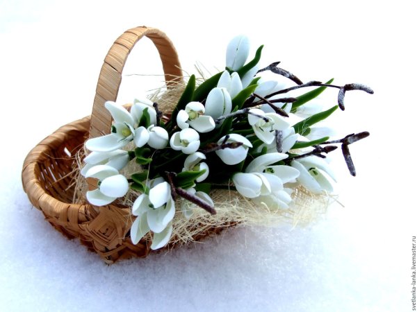 Корзинка с подснежниками