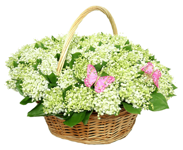 Корзина с цветами