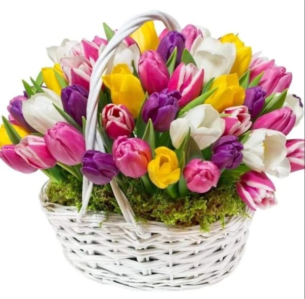 Корзинка с тюльпанами