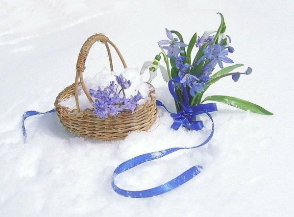 Корзинка с подснежниками