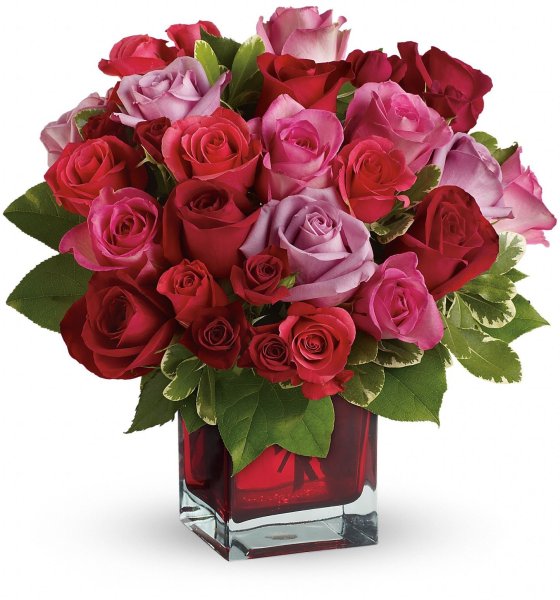 Роза шикарная