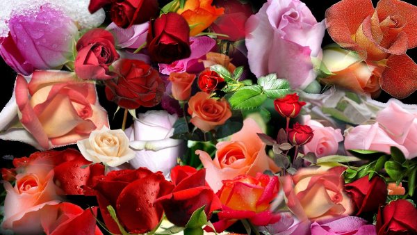 Цветы букеты шикарные