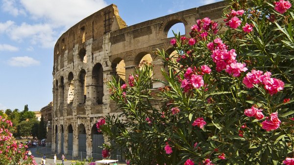 Ноябрь Италия цветы