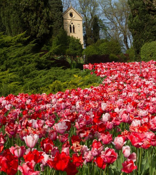 Парк Сигурта Италия