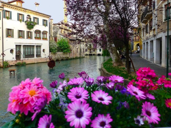 Цветущая Флоренция