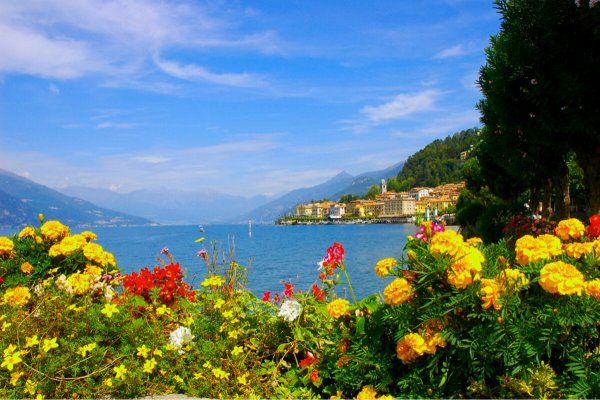 Цветы на озере Комо Италия