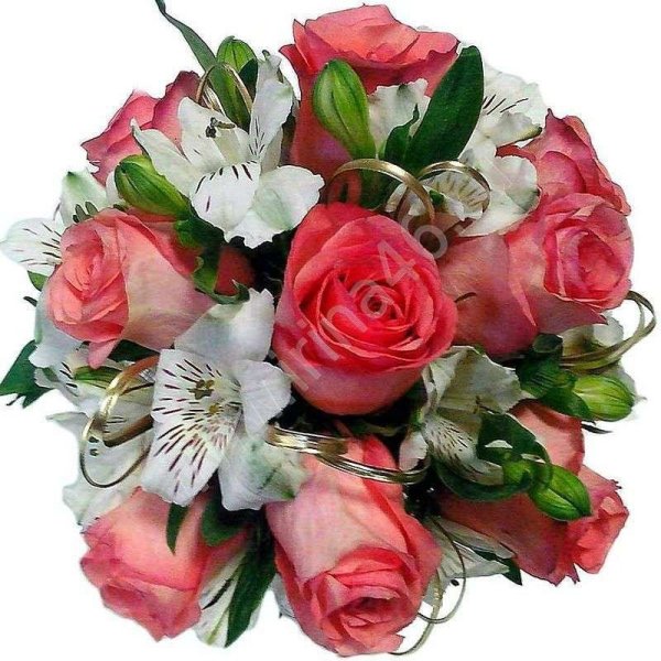 Цветы для Иришки