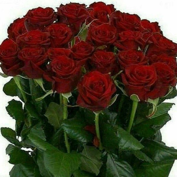 Букет цветов для Иришки