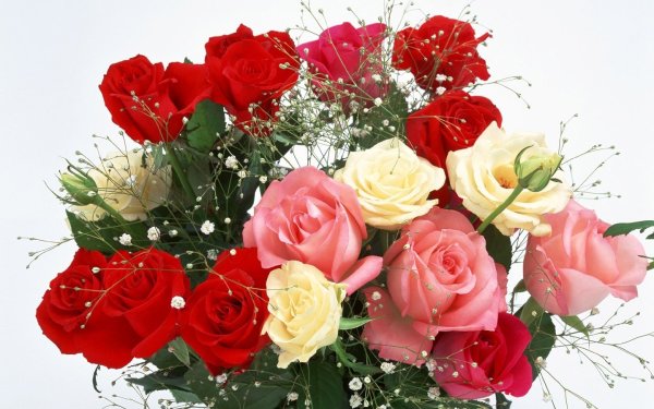 Поздравительные открытки с цветами