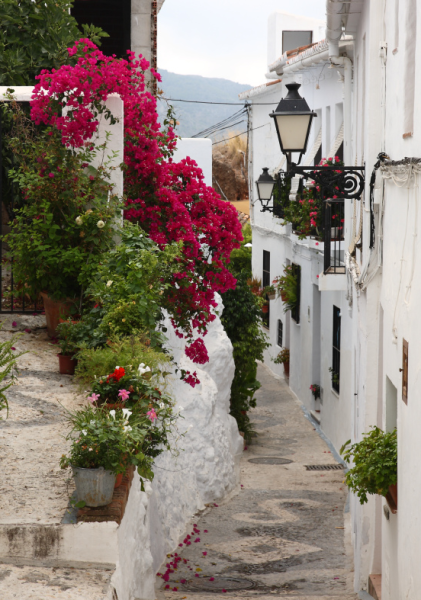 Улочки Севильи Андалусии цветы