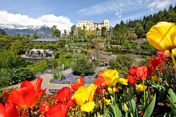 Ботанический сад Траутмансдорф