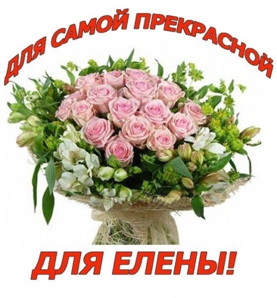 Цветы для Еленочки красивые