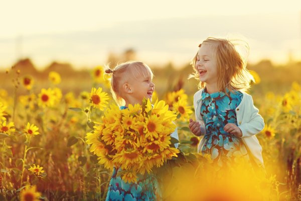 Смешной одуванчик