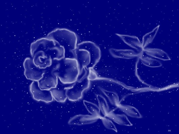 Цветы из звезд