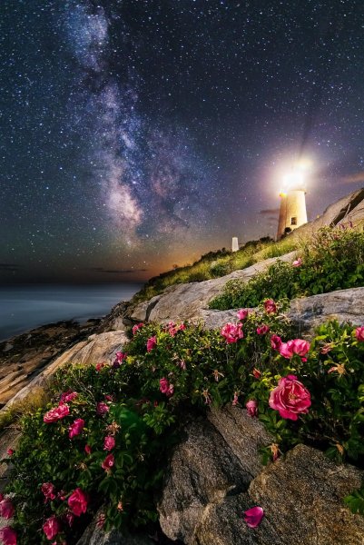 Поляна ночью