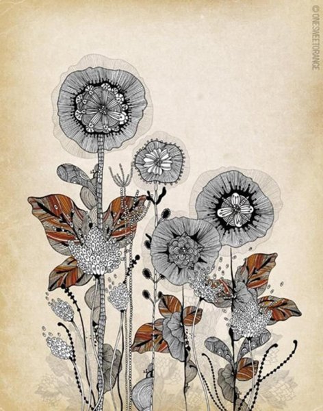 Стилизация растений Грэхем Лесли