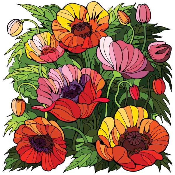 Цветы рисунок