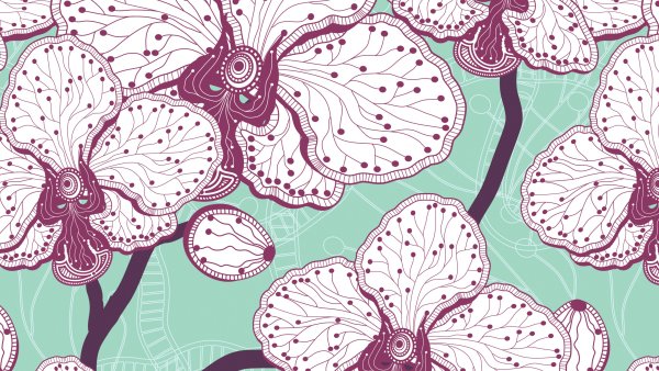 Цветы рисунок