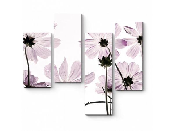 Изображения для модульных картин