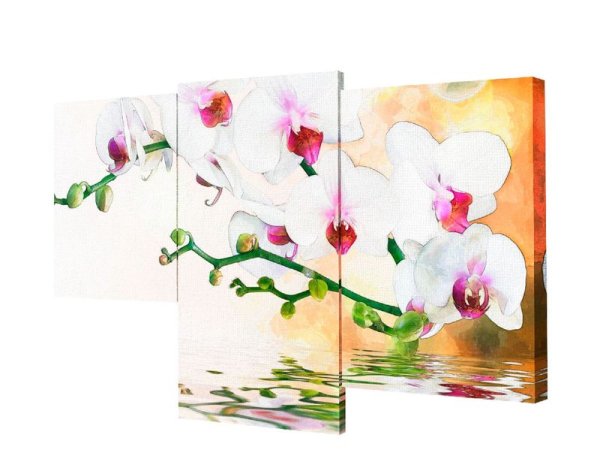 Модульная картина Toplight TL-mm1041