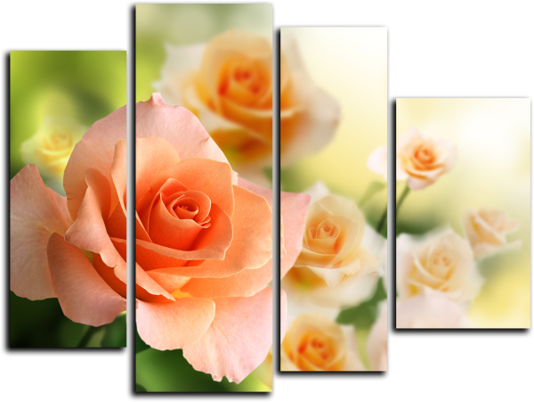 Модульная картина цветы