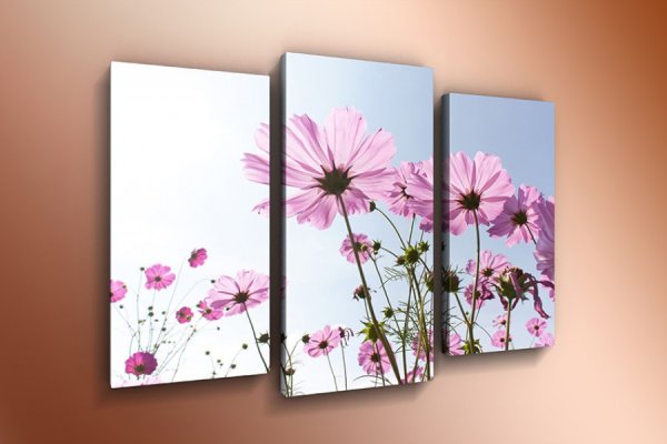 Модульные картины триптих