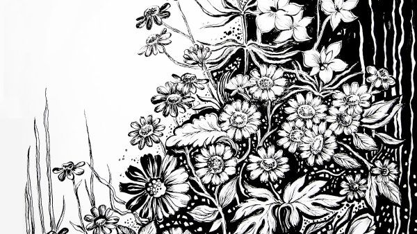 Цветы Графика тушь