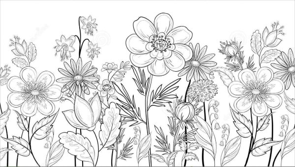 Раскраска полевые цветы на лугу
