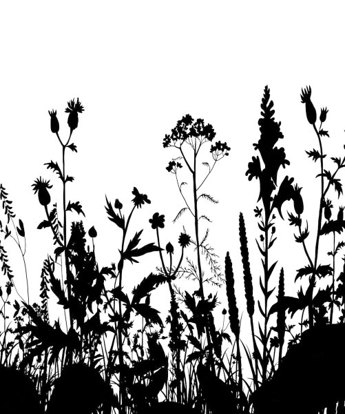 Травинки силуэт
