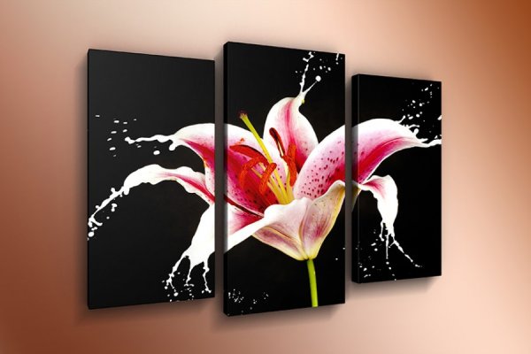 Модульная картина