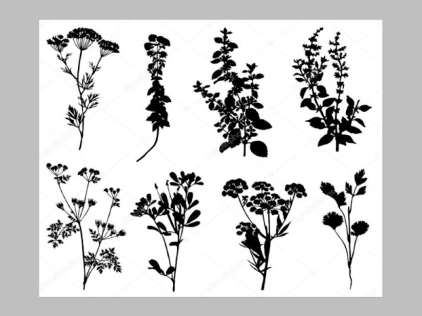 Силуэты трав и цветов